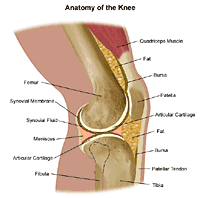 Knee joint pain